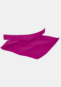 Enduranceabel Clerical Bib