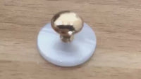 Gold Plastic Tunic Shirt Collar Studs